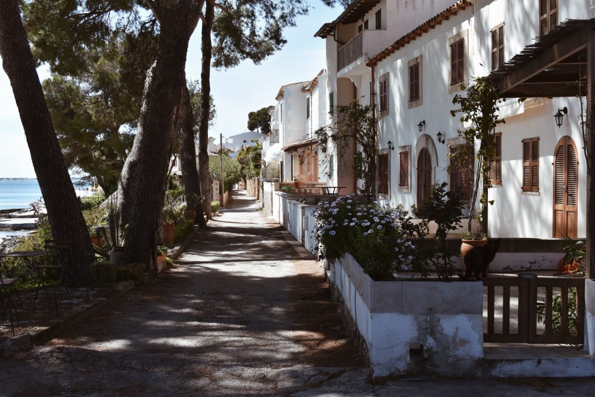 Travel Guide #4 Alcudia – Mallorca